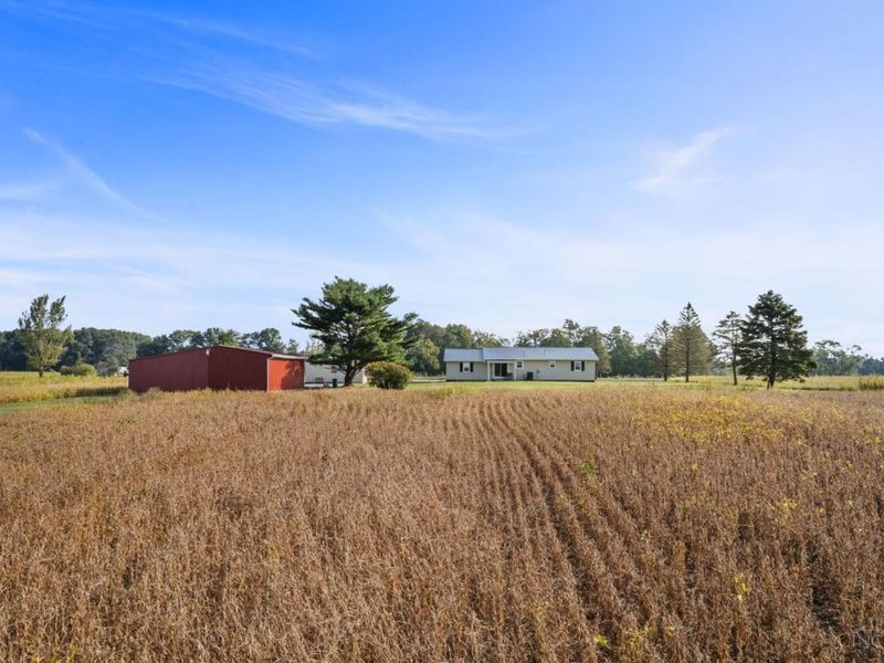 9185 Cold Corner Road, Lewis Township, OH 45121 Photo 19