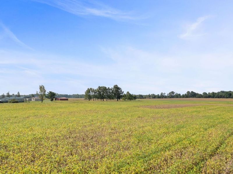 9185 Cold Corner Road, Lewis Township, OH 45121 Photo 22