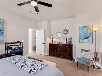305 Cattail Circle, Gardnerville, NV 89410 Photo