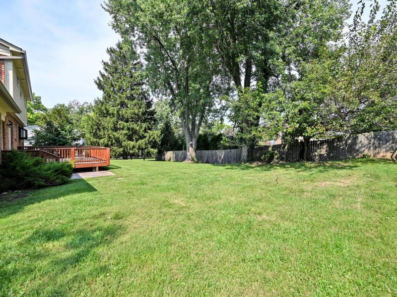 7226 Crinstead Court, Madeira, OH 45243 Photo 61