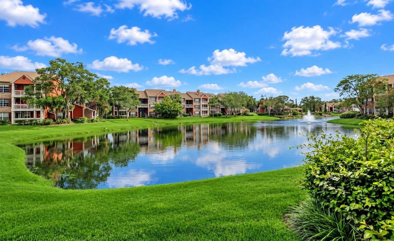 10200 Gandy Boulevard N, Unit 701, Saint Petersburg, FL 33702 Main Photo