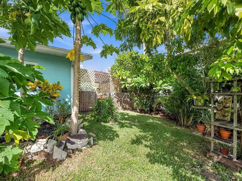 1831 Bayshore Drive, Terra Ceia, FL 34250 Photo