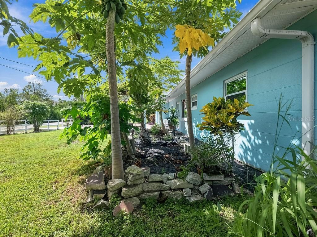 1831 Bayshore Drive, Terra Ceia, FL 34250 Photo