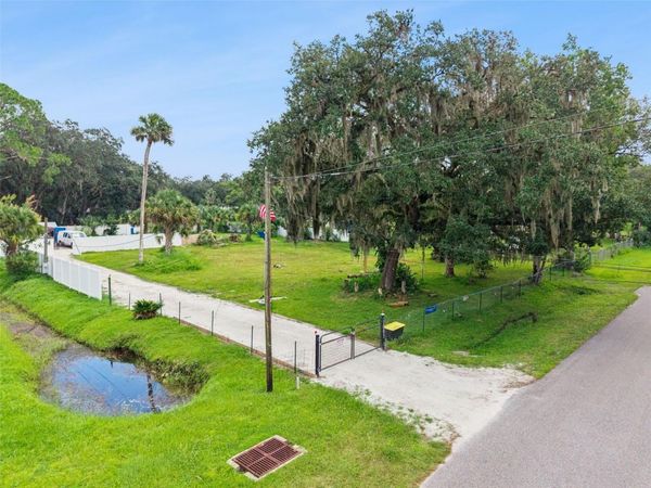 1003 SAINT CATHERINE AVENUE , CHRISTMAS, FL 32709