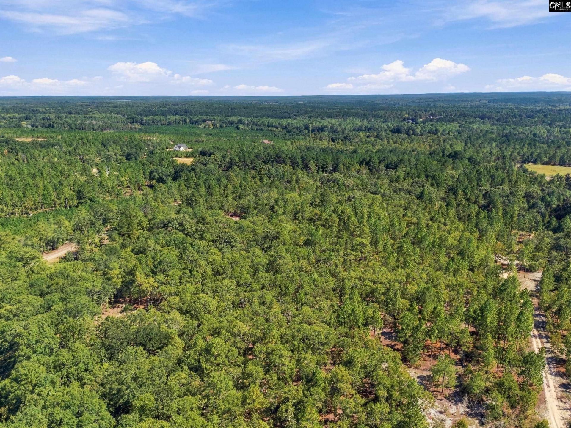 137 Pointers Path  Photo 19