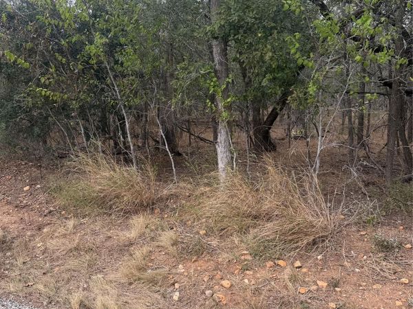 Lots 298, 300 and 54 Riverside and Kahana DR, Bastrop, TX 78602