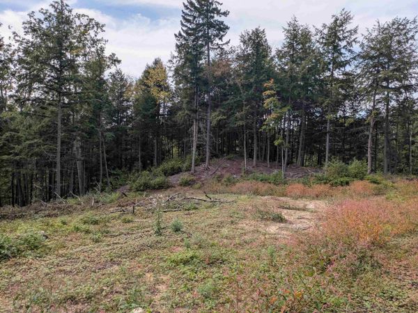 Gilsum Road, Sullivan, NH 03445
