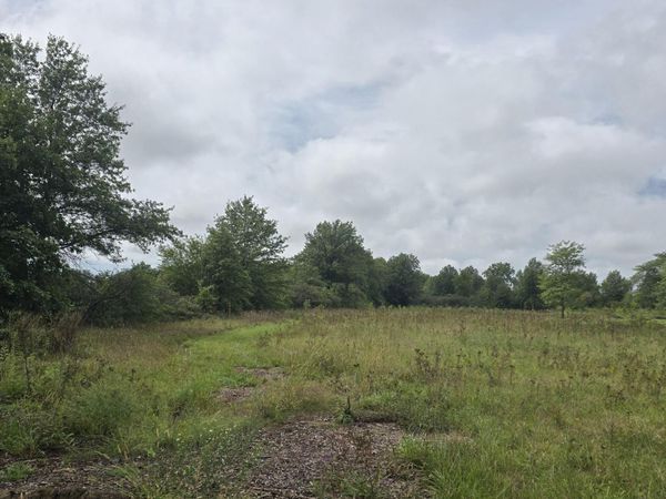 0 Road 19a, Continental, OH 45831