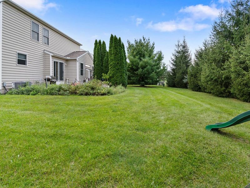 1597 Daffodil Place, Lewis Center, OH 43035 Photo 6
