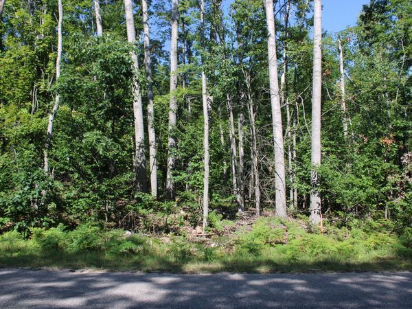 11228 Fascination Drive, Frederic, MI 49733