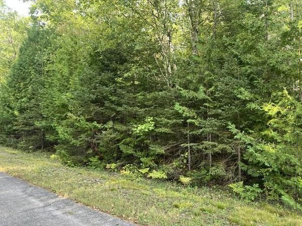 Lot 298 Sunaqua Drive, Presque Isle, MI 49777