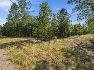 157 Pointers Path , Camden, SC 29020