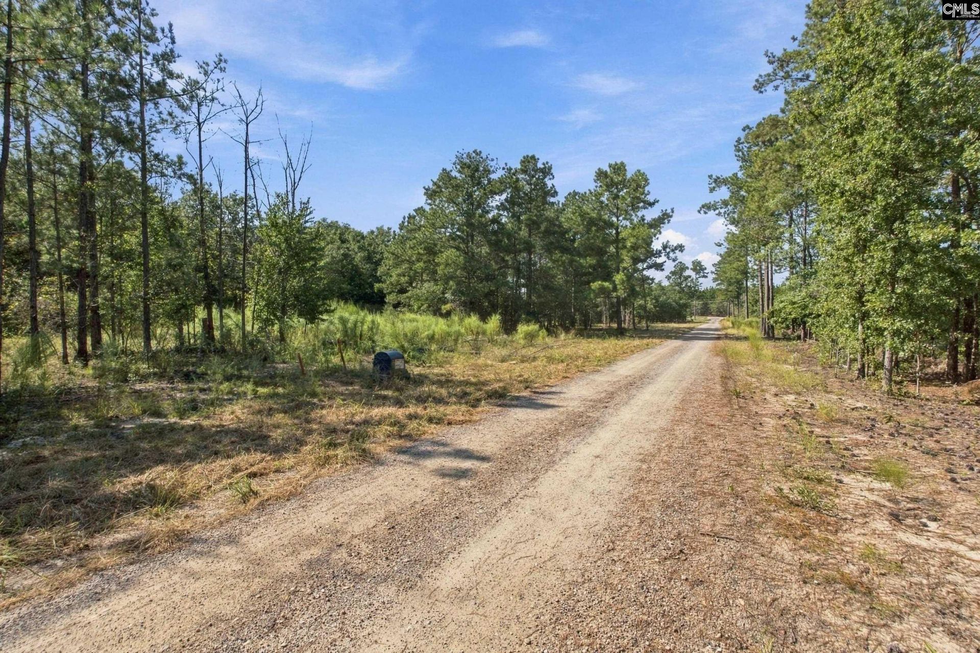 157 Pointers Path  Photo 10