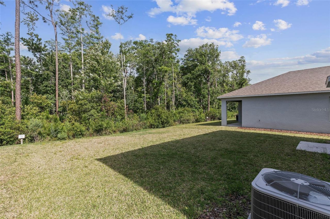 326 Caryota Court, New Smyrna Beach, FL 32168 Photo