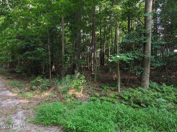 4595 Mercer Mill Brown Marsh Road, Clarkton, NC 28433