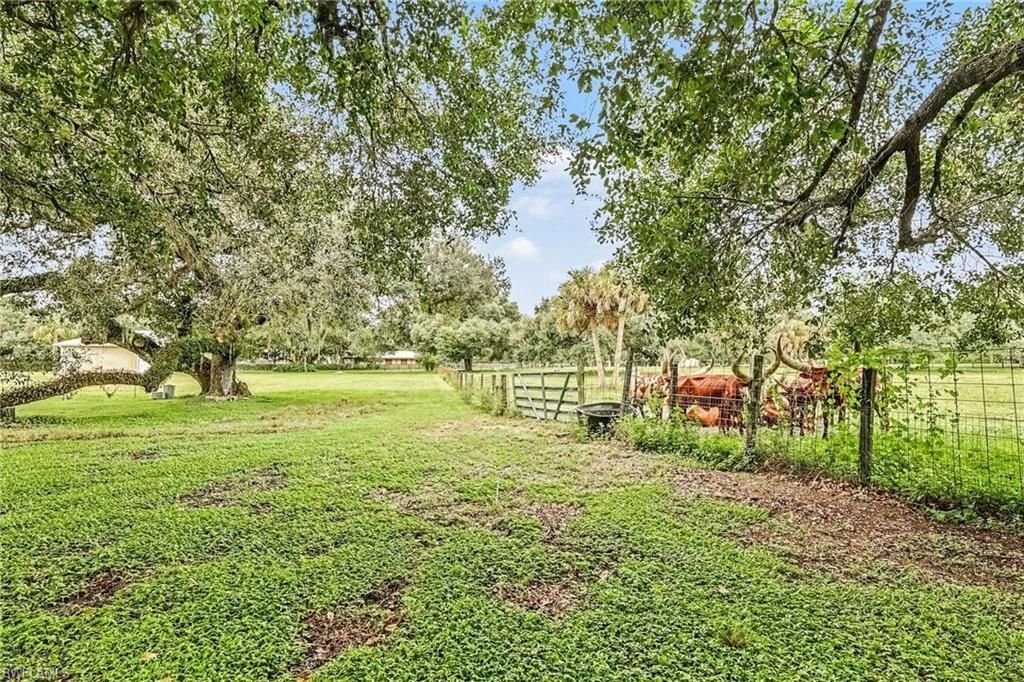 23150 N River Rd , Alva, FL 33920 Photo