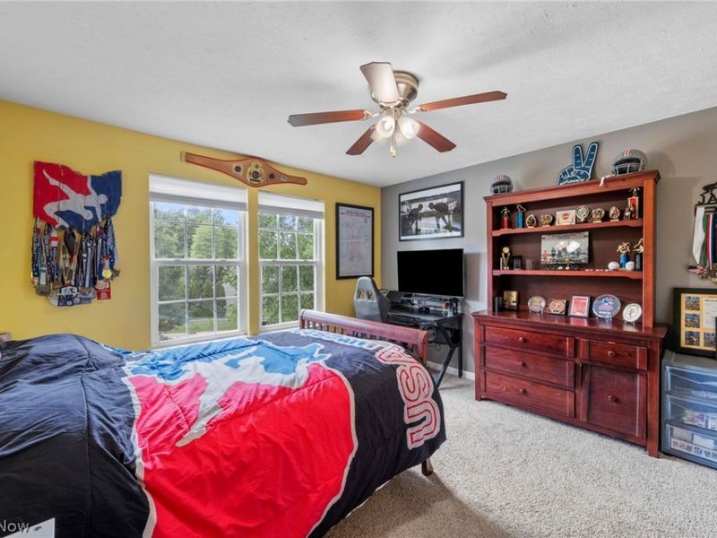 1165 Jonah Drive, Copley, OH 44321 Photo 29