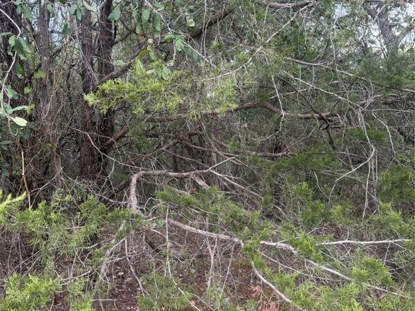 223 Mokulua LN, Bastrop, TX 78602