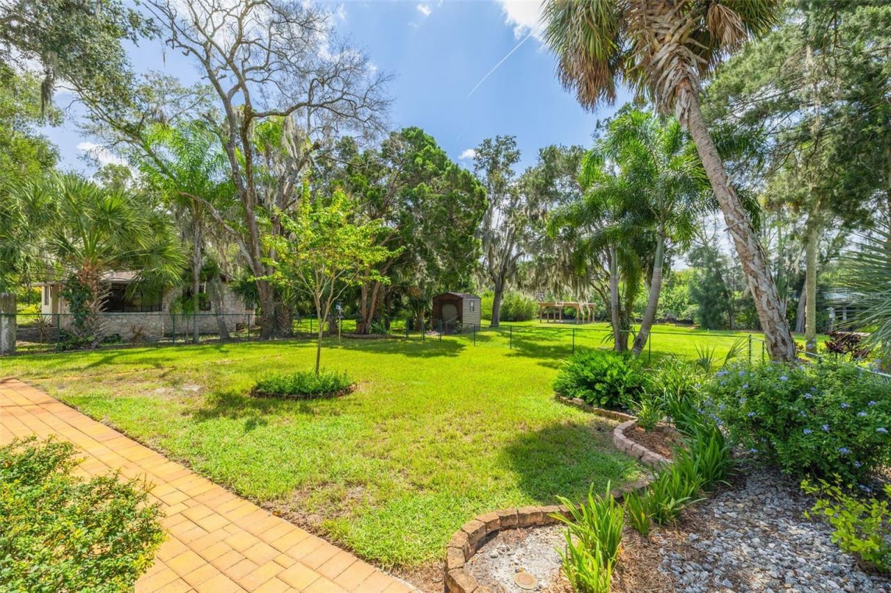 6030 Oak Ridge Avenue, New Port Richey, FL 34653 Photo