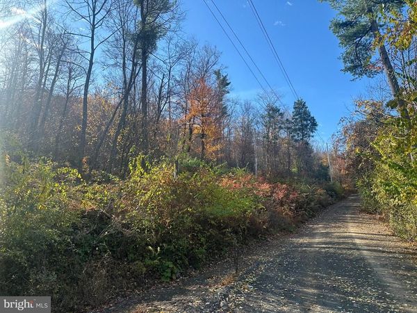 WILD TURKEY DRIVE , SPRING MILLS, PA 16875