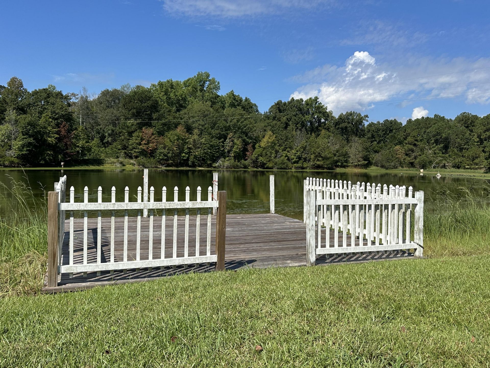 189 Keifer Court Photo 14