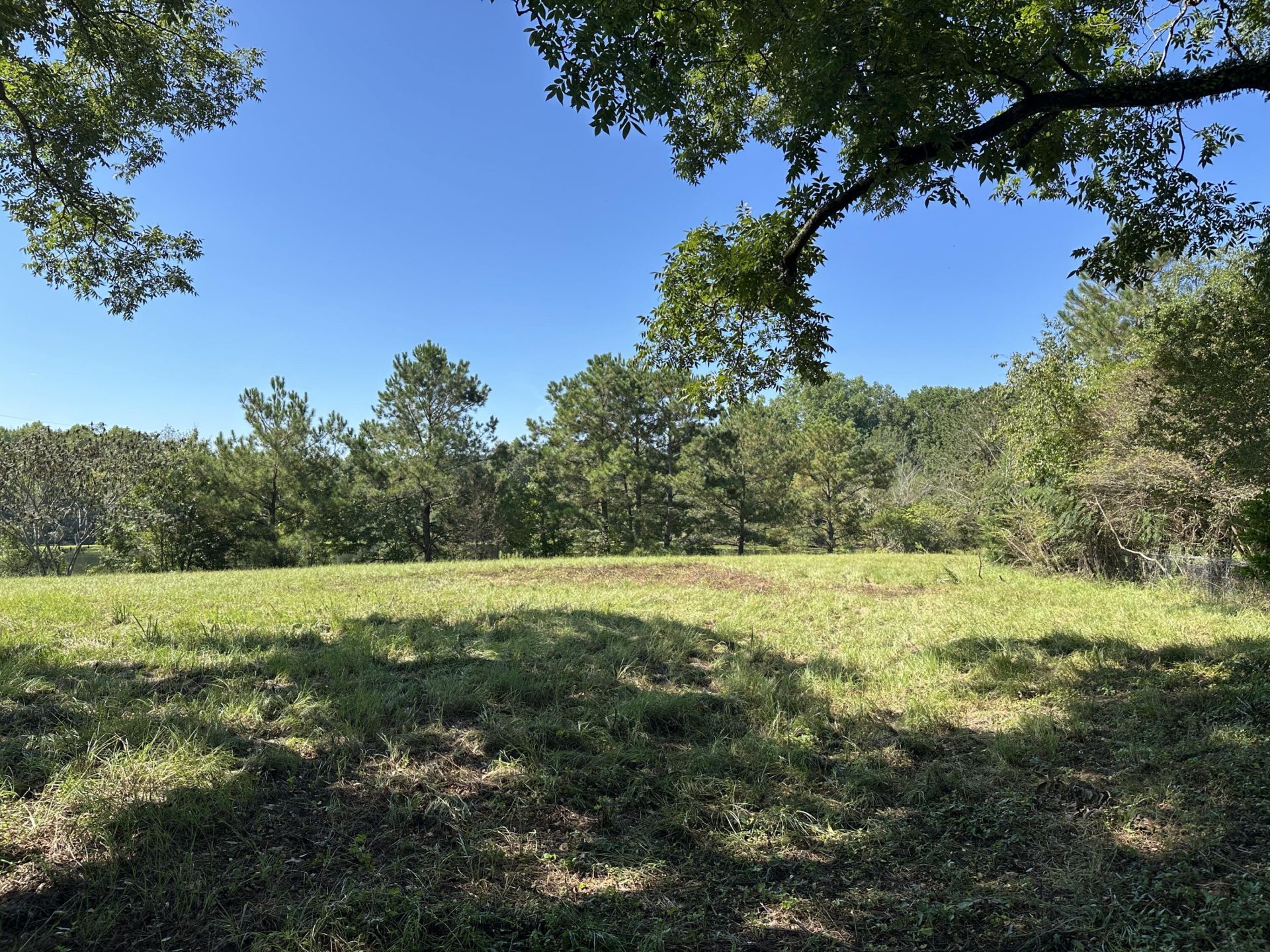189 Keifer Court Photo 16