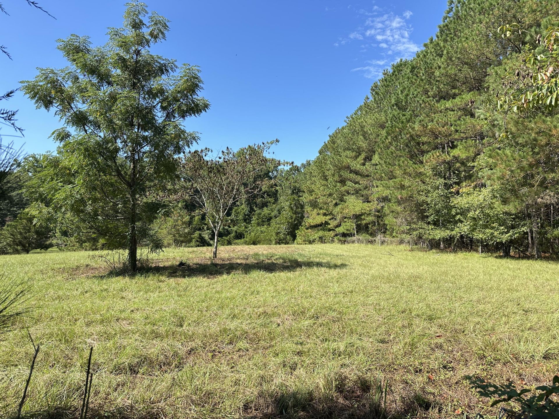 189 Keifer Court Photo 18