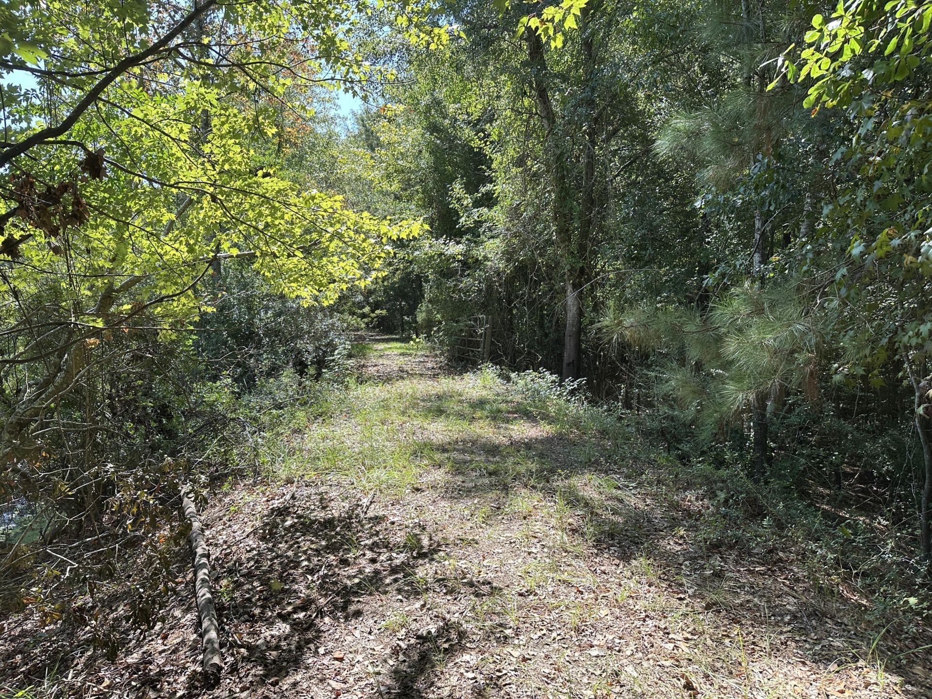 189 Keifer Court Photo 20