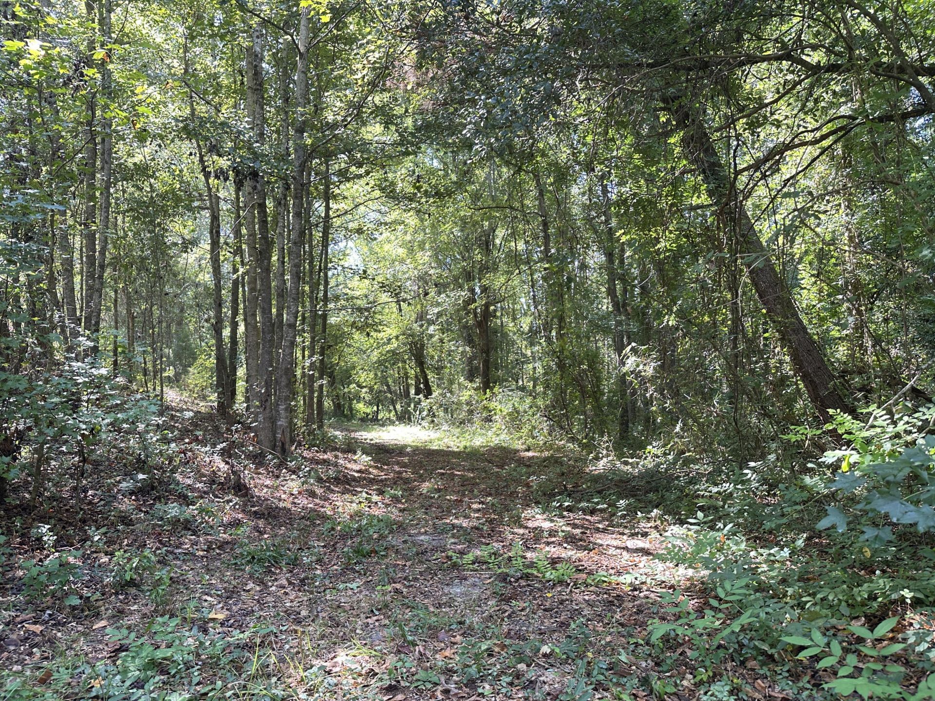 189 Keifer Court Photo 21