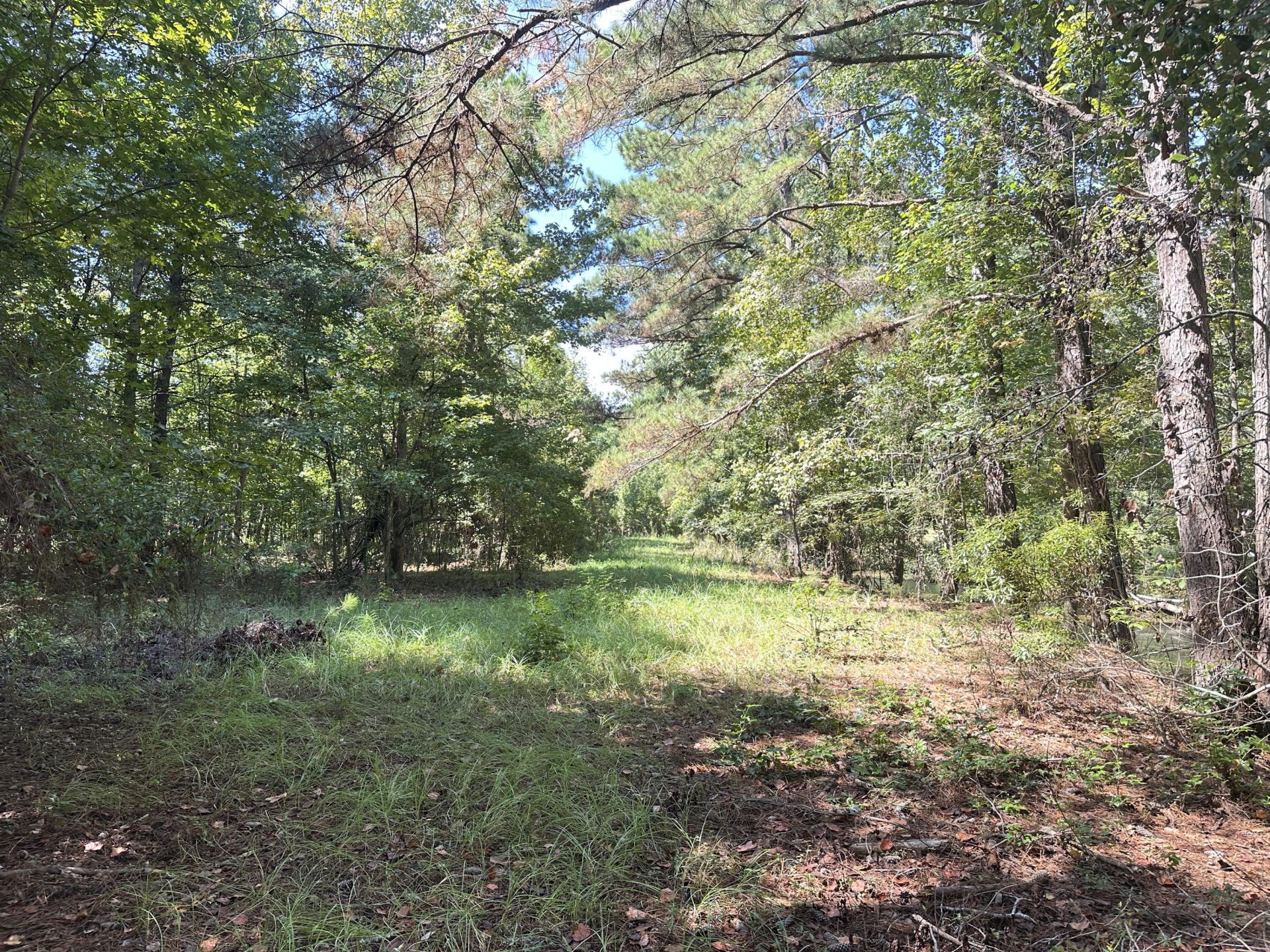 189 Keifer Court Photo 22