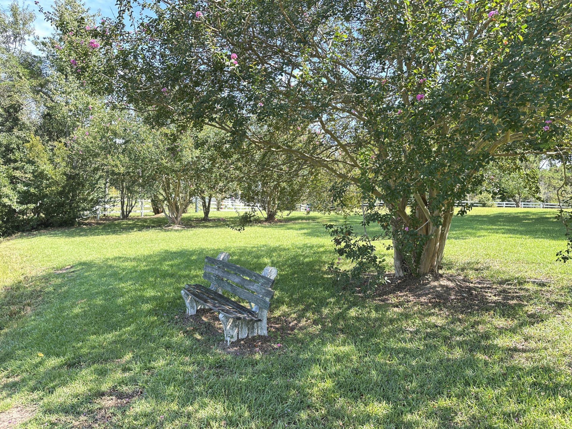 189 Keifer Court Photo 6