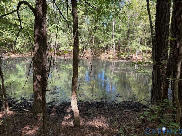11317 Sapony Church Rd , Mc Kenney, VA 23872