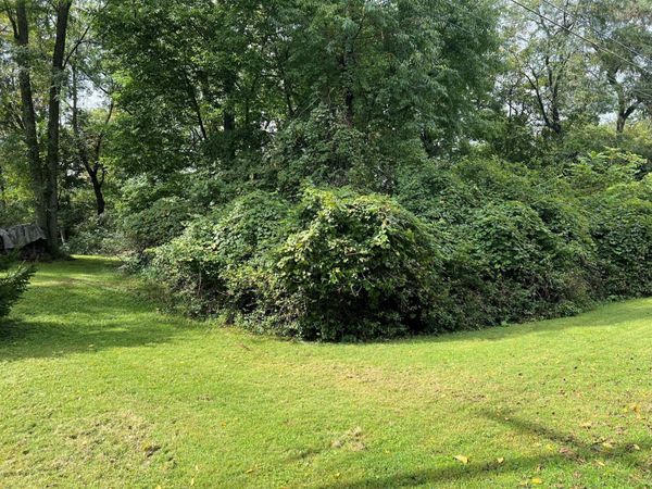 62 Kurrley Street , Delaware, OH 43015