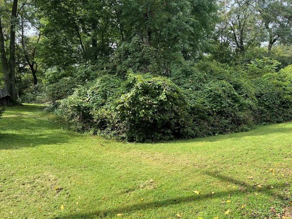 74 Kurrley Street , Delaware, OH 43015