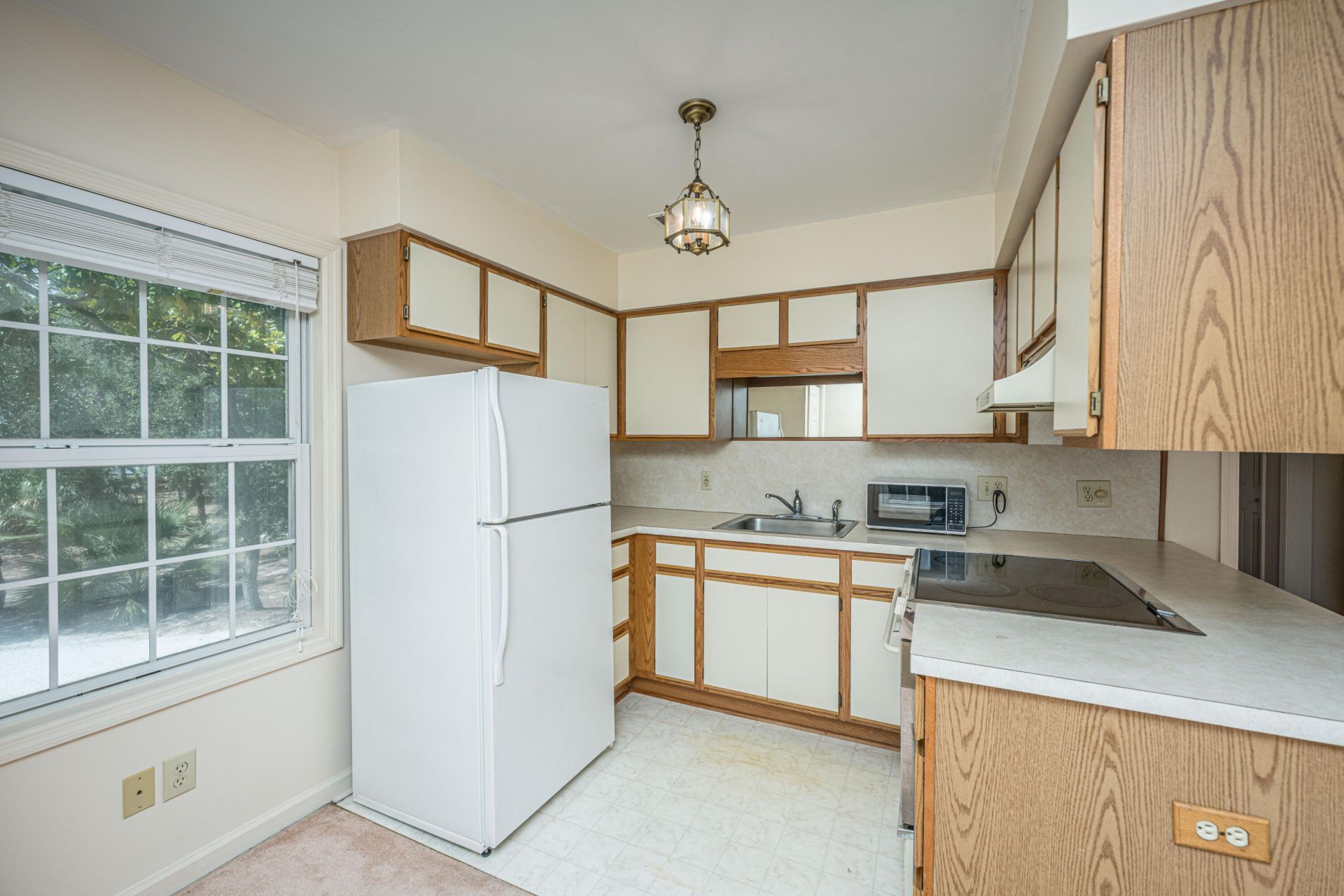 8727 Middleton Point Lane Photo 49