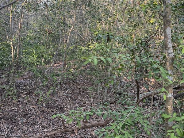 Lot 607 Waimanalo DR, Bastrop, TX 78602