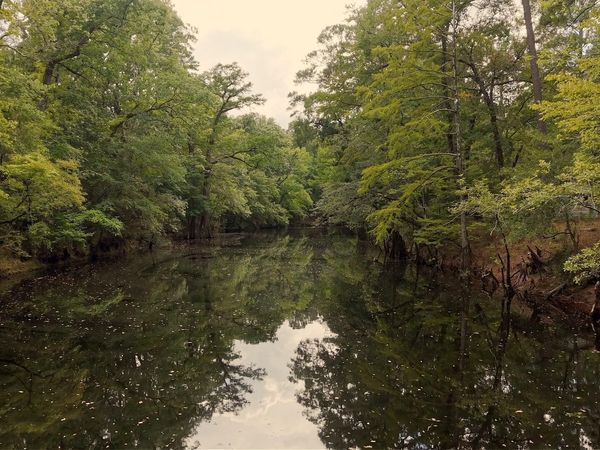 33 Shelter Creek Drive , Burgaw, NC 28425