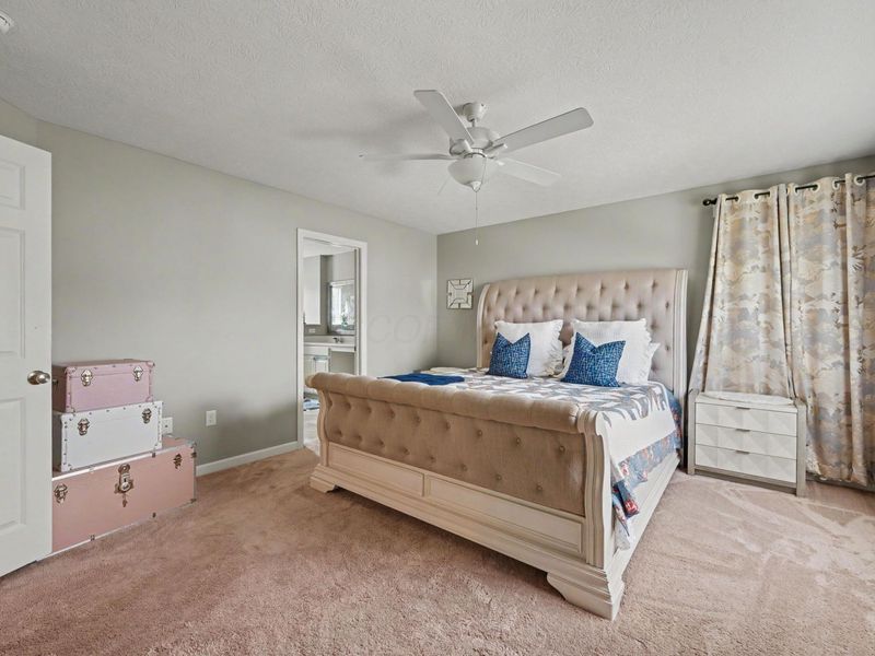 3084 Howler Lane, Columbus, OH 43231 Photo 27