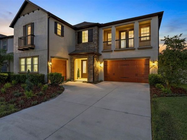 29404 PICANA LANE, WESLEY CHAPEL, FL 33543