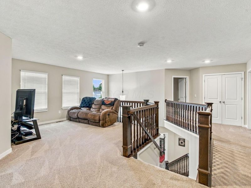 463 Blues Creek Drive, Ostrander, OH 43061 Photo 27