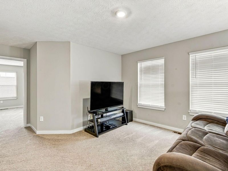 463 Blues Creek Drive, Ostrander, OH 43061 Photo 28