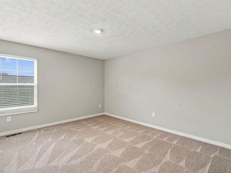 463 Blues Creek Drive, Ostrander, OH 43061 Photo 35