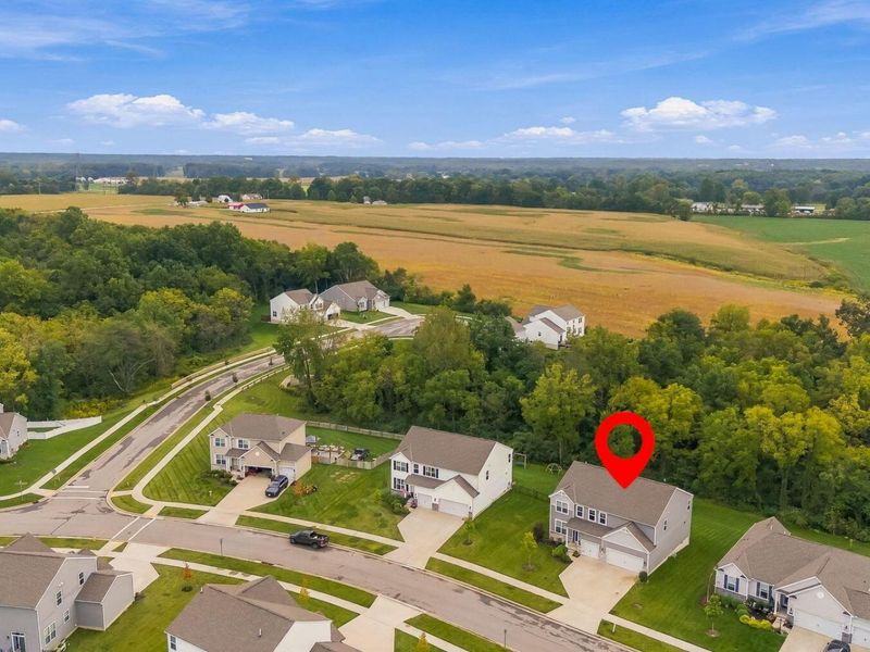 463 Blues Creek Drive, Ostrander, OH 43061 Photo 54