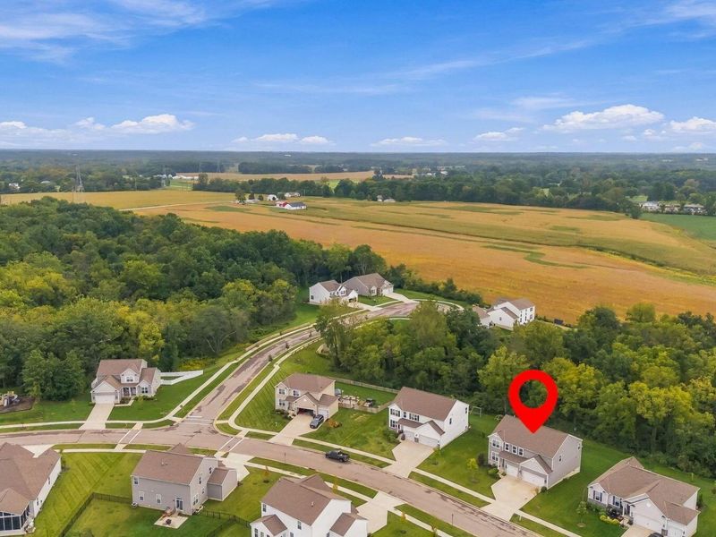 463 Blues Creek Drive, Ostrander, OH 43061 Photo 56