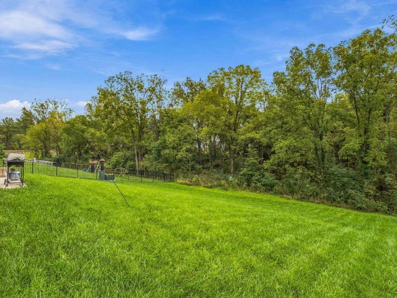 463 Blues Creek Drive, Ostrander, OH 43061 Photo 8