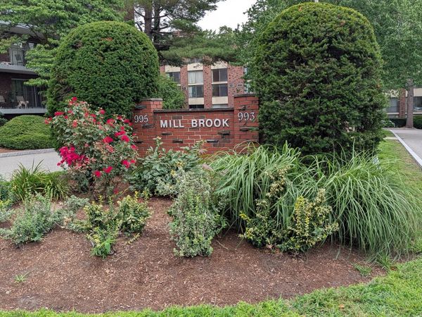 995 Mass Ave, Unit 304, Arlington, MA 02476