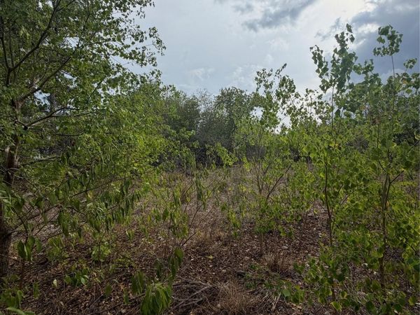 107 Waialua CT, Bastrop, TX 78602