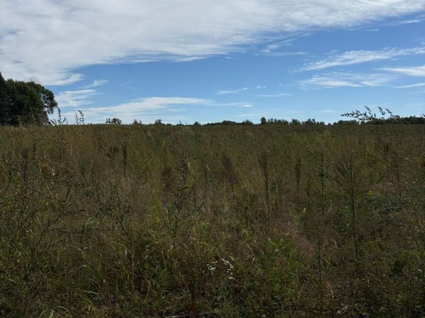 TBD Holman Avenue , Harris, MN 55032