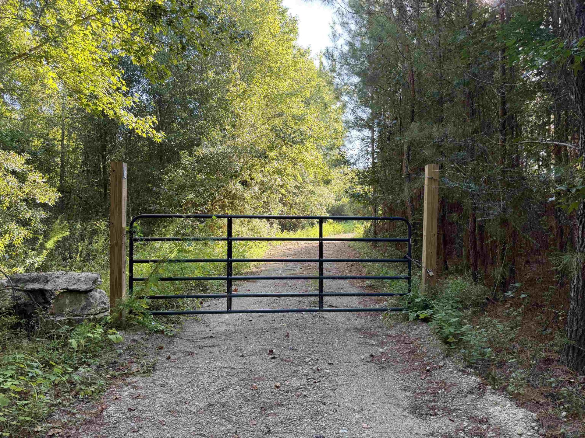15+/- Acres-976 New Pine Rd.  Photo 6