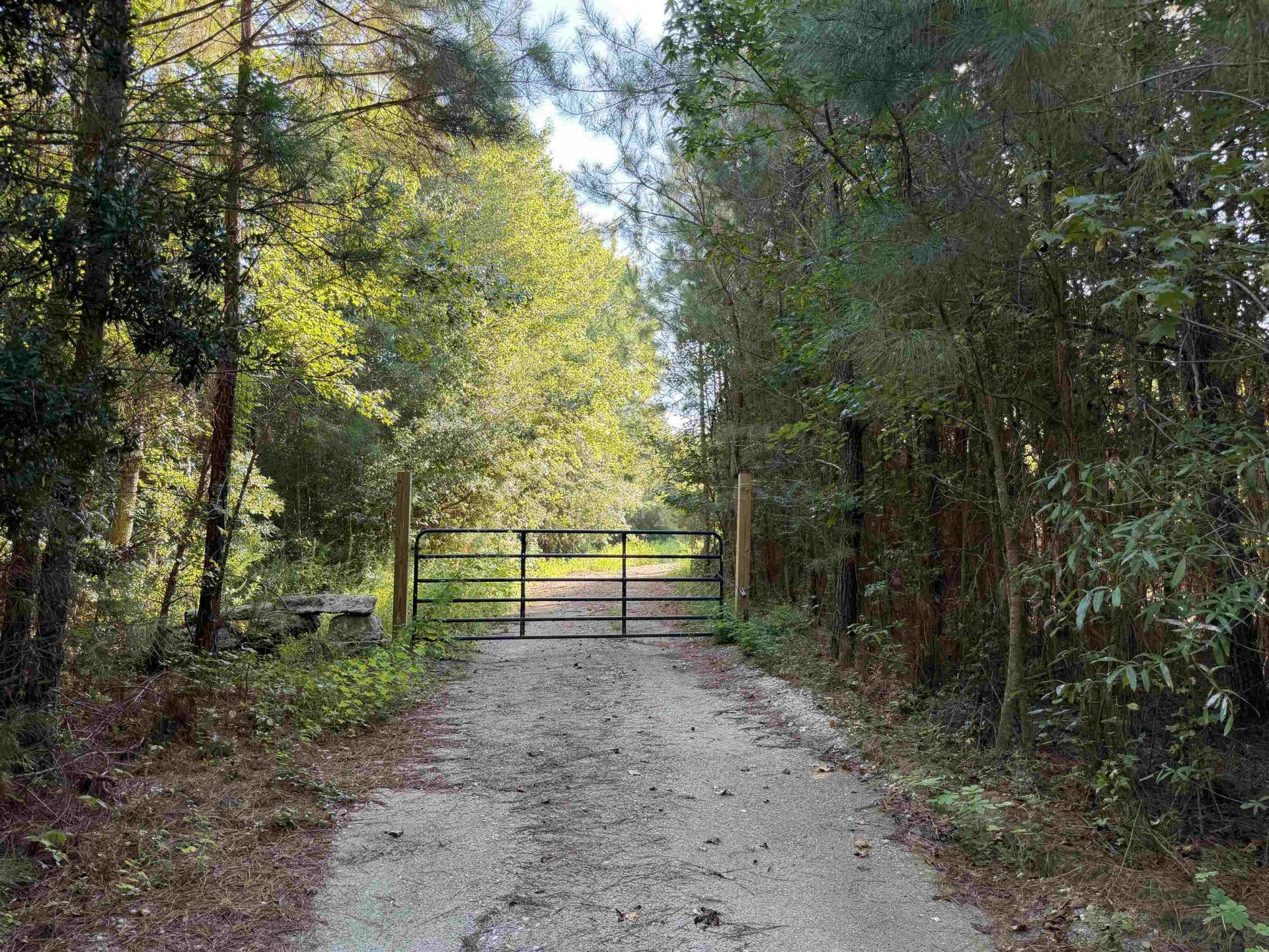 15+/- Acres-976 New Pine Rd.  Photo 7